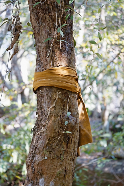 Famille et amis-FEV17-017